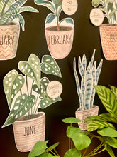 Load image into Gallery viewer, BOHO BOTANY BIRTHDAY DISPLAY
