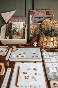 MUSHROOM MORNING BASKET