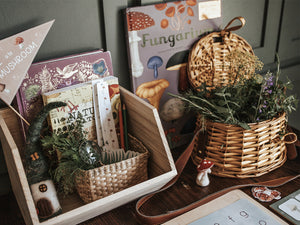 MUSHROOM MORNING BASKET