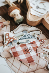 MUSHROOM MORNING BASKET