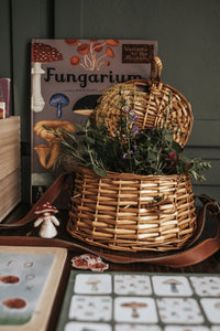 MUSHROOM MORNING BASKET