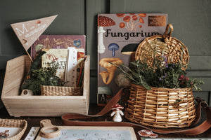 MUSHROOM MORNING BASKET