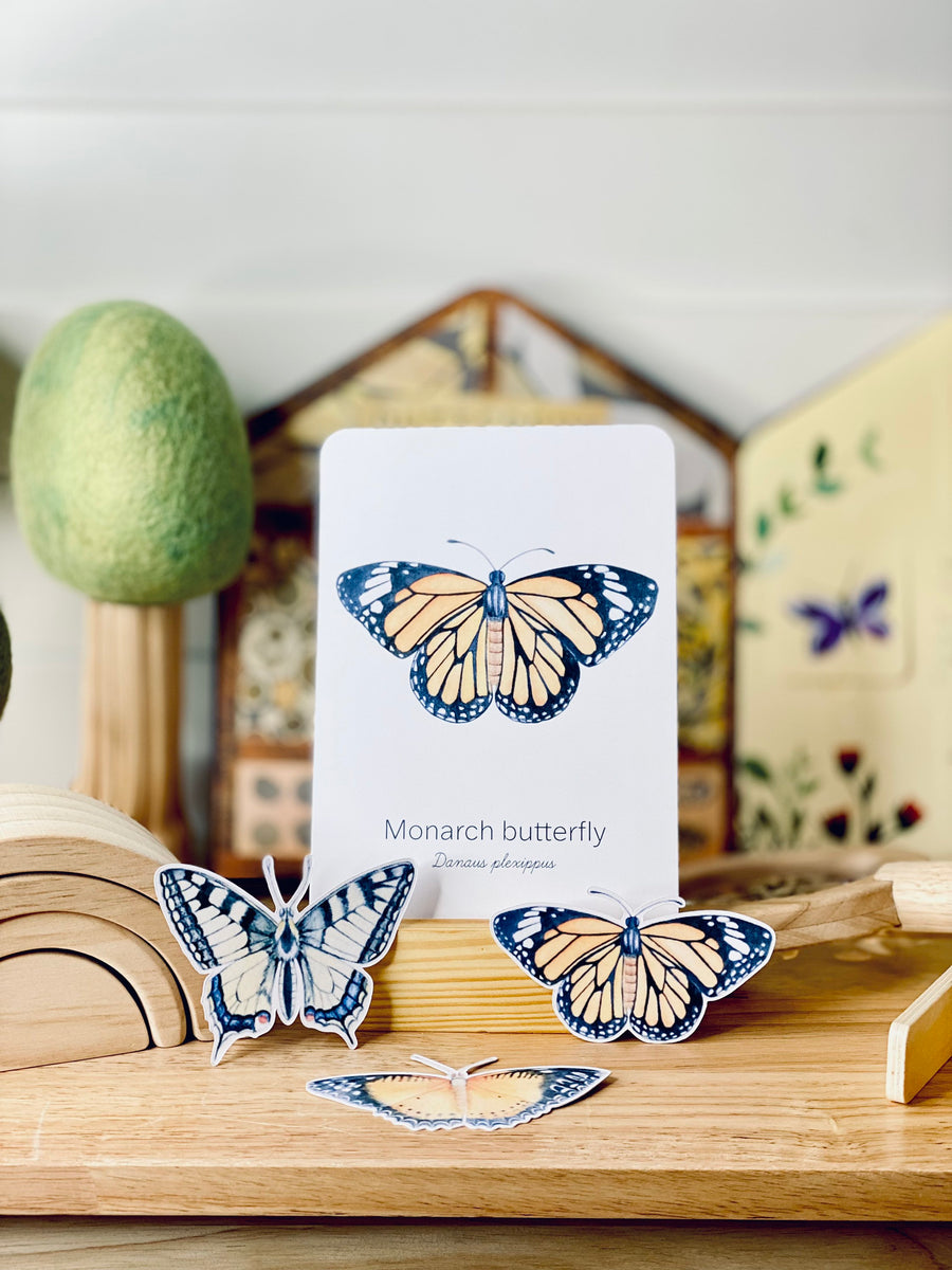 TROPICAL BUTTERFLY SPECIES CARDS – Whimsy Printables Shop